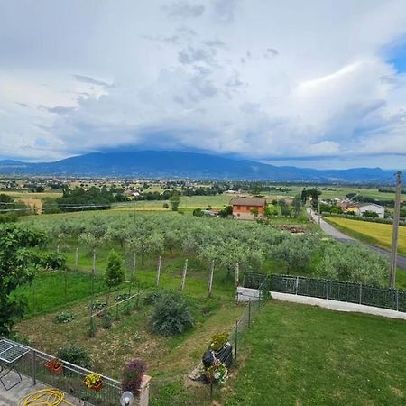 Delizioso Appartamento Collinare Limigiano Bagian luar foto